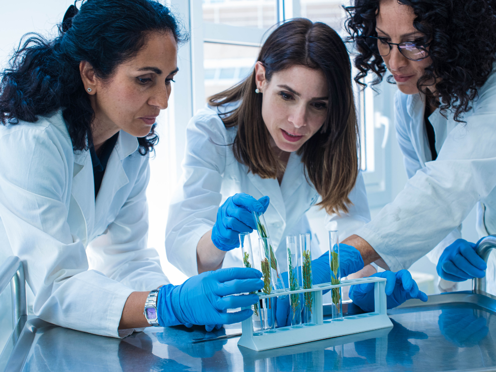 Untitled (1000 x 800 px) (17)