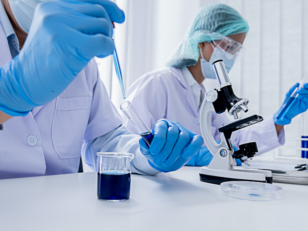 Untitled (1000 x 800 px) (5)