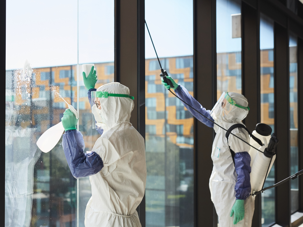 Untitled (1000 x 800 px) (7)